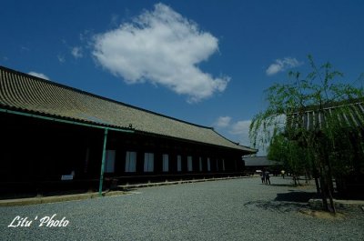 DSC_0296.jpg