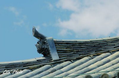 DSC_0307.jpg