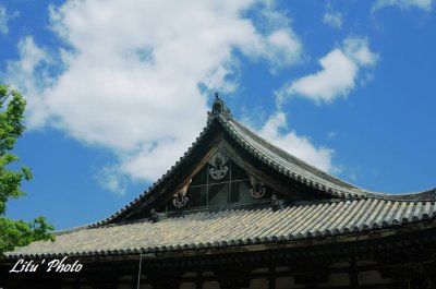 DSC_0318.jpg