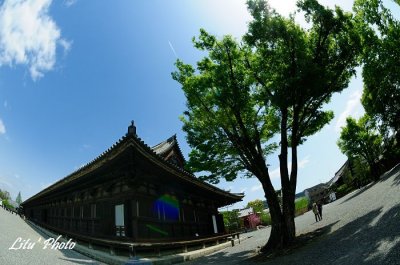 DSC_0346.jpg