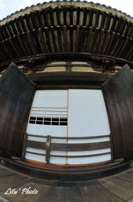 DSC_0348.jpg
