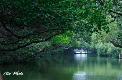 DSC_7162.jpg