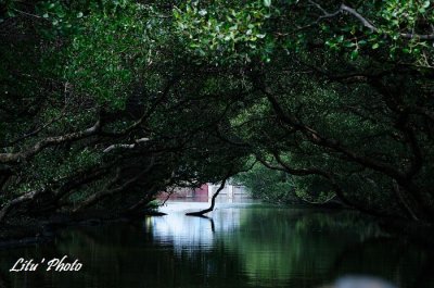 DSC_7181.jpg