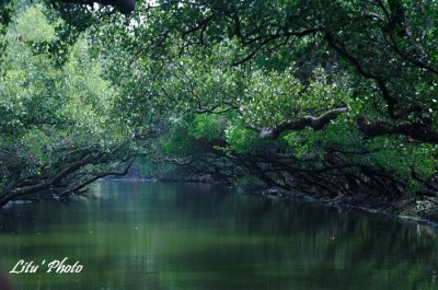 DSC_7201.jpg