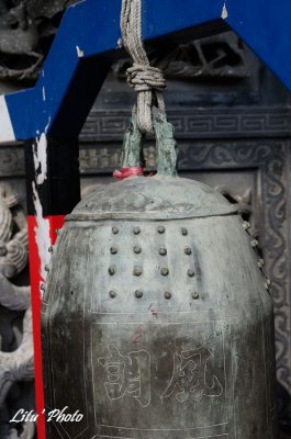 DSC_7246.jpg