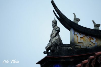 DSC_7365.jpg