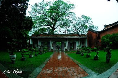 DSC_7398.jpg