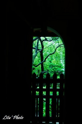 DSC_7434.jpg