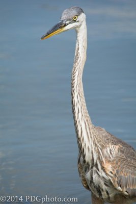 LakeQ-05-D71_1793.jpg