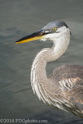 LakeQ-08-D71_1806.jpg