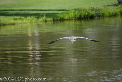 LakeQ-10-D71_1818.jpg