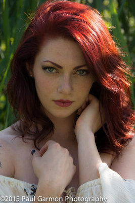 D71_1651.jpg