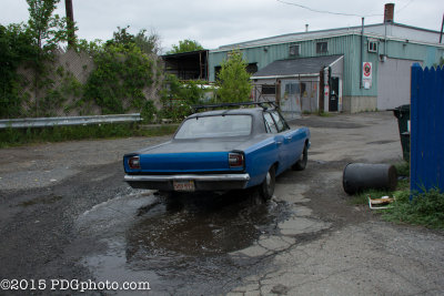 D71_2543.jpg