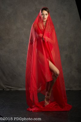 D71_8549.jpg