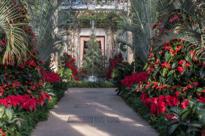Longwood Christmas 2015