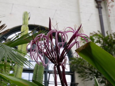 P9190275.jpg
