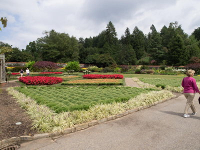 P9190286.jpg
