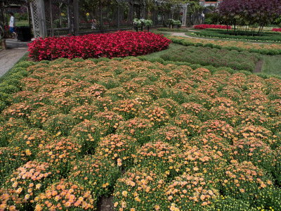 P9190287.jpg