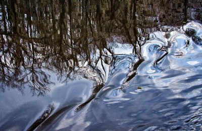 Caddo Lake 26