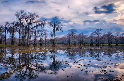 Caddo Lake 09