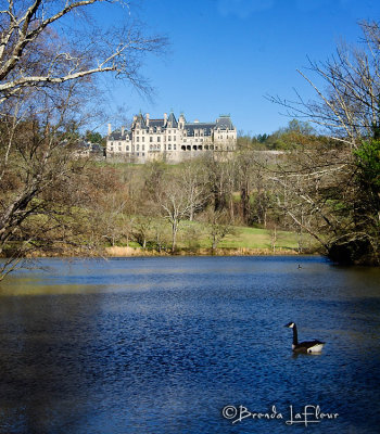 Biltmore 11.jpg