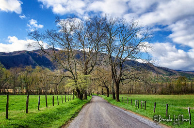 Cades Cove 004.jpg