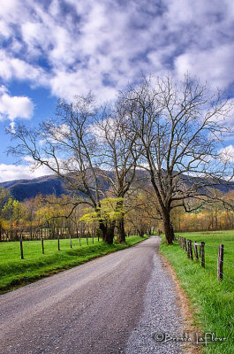 Cades Cove 005.jpg