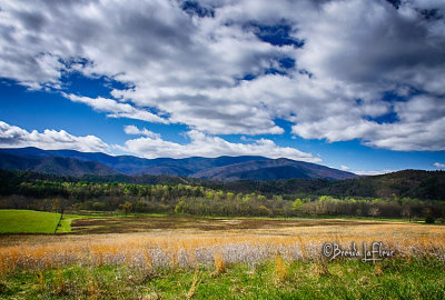 Cades Cove 021.jpg