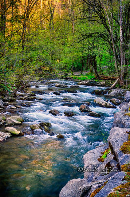 SMNP Stream 02.jpg