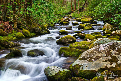 SMNP Stream 04 Roaring Fork Area color boost.jpg