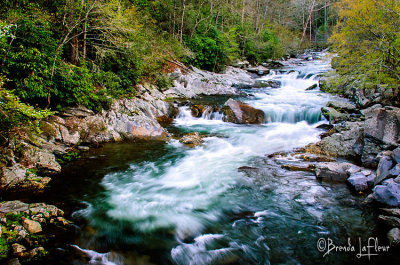 SMNP Stream 13.jpg