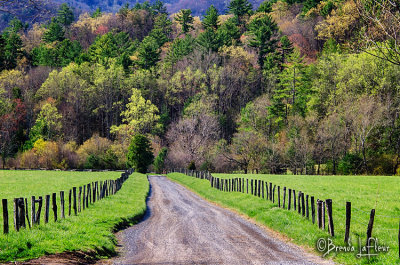 Cades Cove 001.jpg