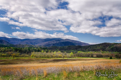 Cades Cove 002.jpg