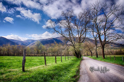 Cades Cove 019.jpg