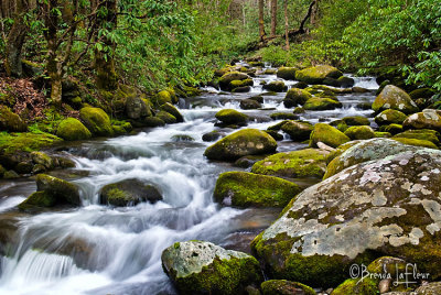 SMNP Stream 04 Roaring Fork Area.jpg