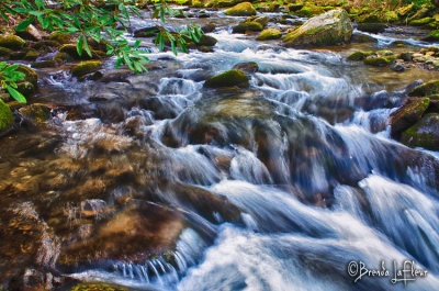 SMNP Stream 07B Tremont Area.jpg