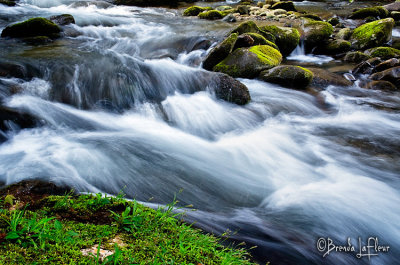 SMNP Stream 10.jpg