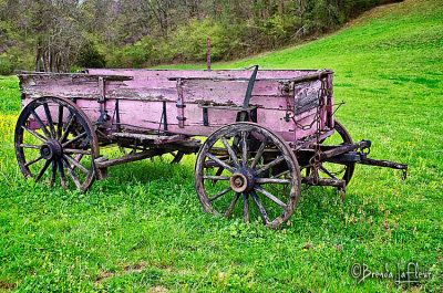 Asheville and Smokey Mountain NP   April 2013