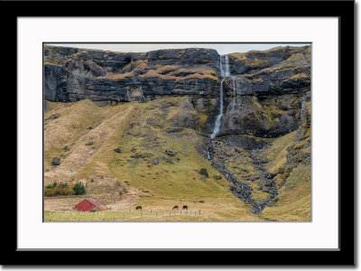 Waterfall, Farm and Horses