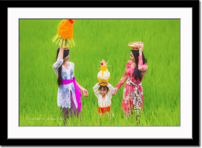 At the rice field