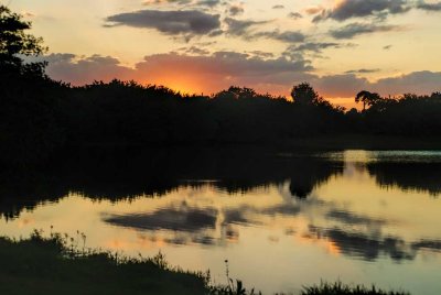 landscape_and_skys