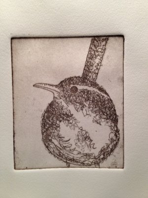 Wren etching.JPG