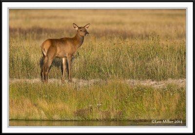 yellowstone_september_2014