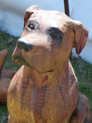Carved cur