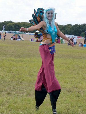 Peacock
