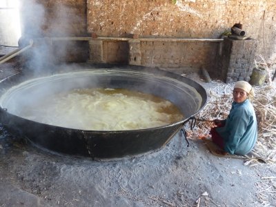 Boiling sugar cane juice to make jaggery