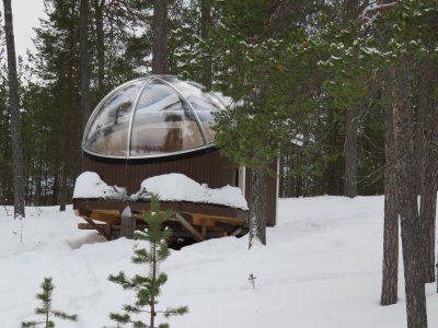 You can hire an Aurora dome for the night