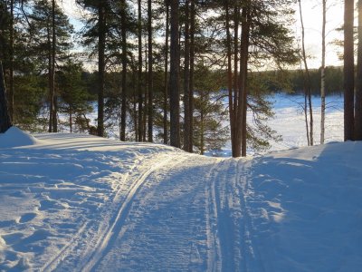 Snowmobile tracks