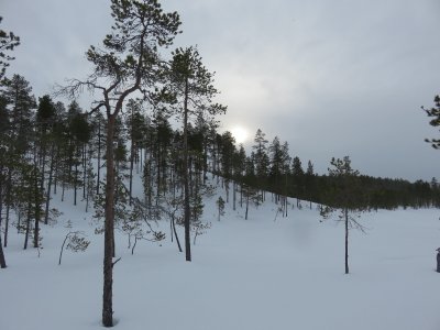 Snowy scenery