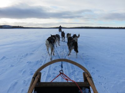 Off across the lake at the start of our husky safari